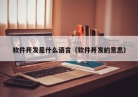 软件开发是什么语言（软件开发的意思）