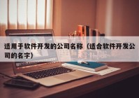 适用于软件开发的公司名称（适合软件开发公司的名字）